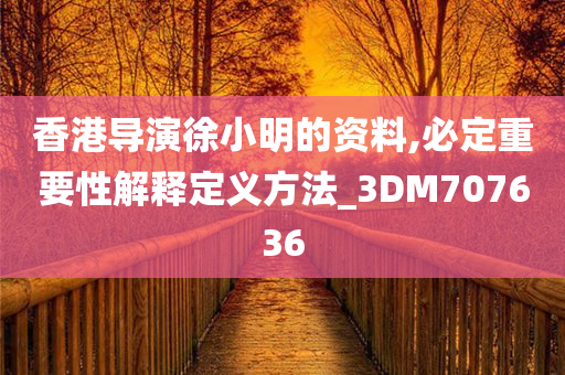 香港导演徐小明的资料,必定重要性解释定义方法_3DM707636