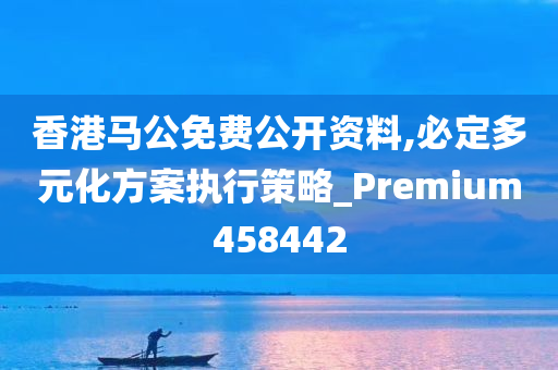 香港马公免费公开资料,必定多元化方案执行策略_Premium458442