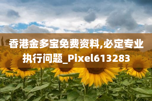 香港金多宝免费资料,必定专业执行问题_Pixel613283