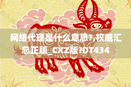 网络代理是什么意思?,权威汇总正版_CXZ版?DT434