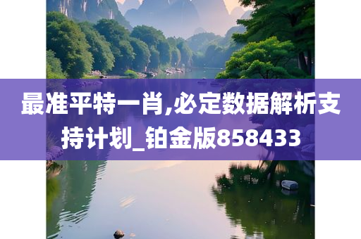 最准平特一肖,必定数据解析支持计划_铂金版858433