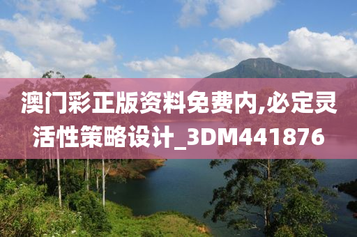 澳门彩正版资料免费内,必定灵活性策略设计_3DM441876