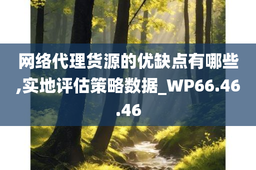 网络代理货源的优缺点有哪些,实地评估策略数据_WP66.46.46