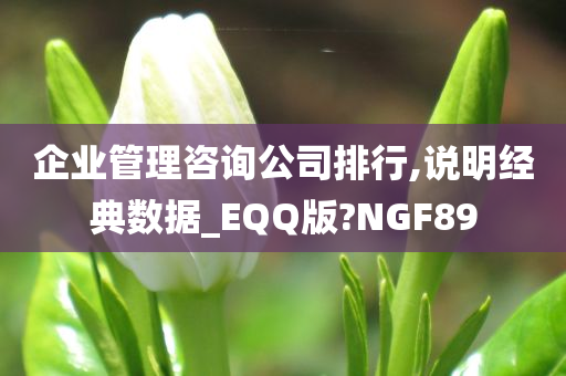 企业管理咨询公司排行,说明经典数据_EQQ版?NGF89