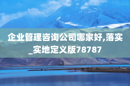 企业管理咨询公司哪家好,落实_实地定义版78787