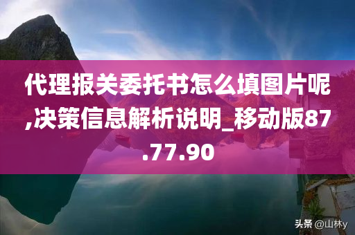 代理报关委托书怎么填图片呢,决策信息解析说明_移动版87.77.90