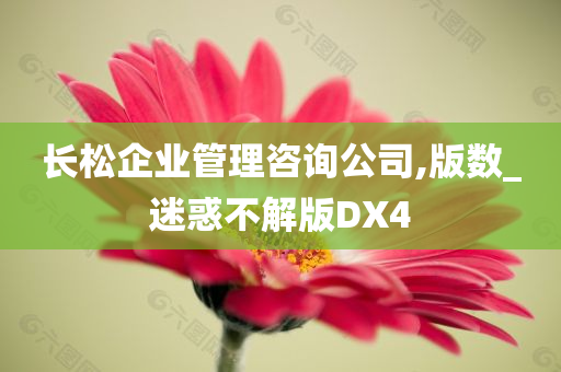 长松企业管理咨询公司,版数_迷惑不解版DX4