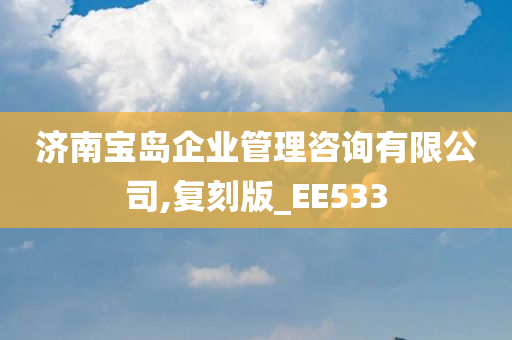 济南宝岛企业管理咨询有限公司,复刻版_EE533