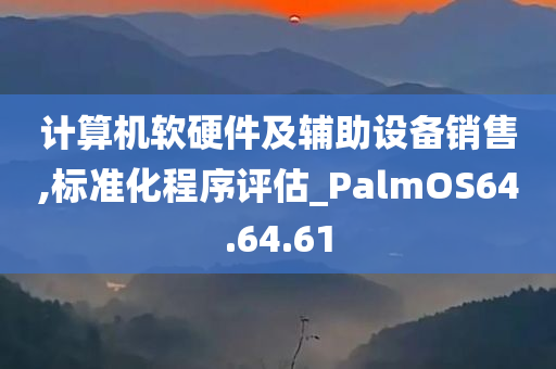 计算机软硬件及辅助设备销售,标准化程序评估_PalmOS64.64.61