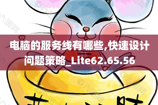 电脑的服务线有哪些,快速设计问题策略_Lite62.65.56