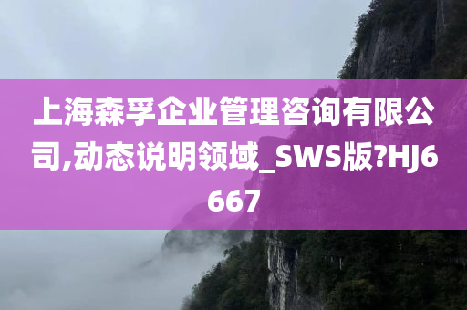 上海森孚企业管理咨询有限公司,动态说明领域_SWS版?HJ6667