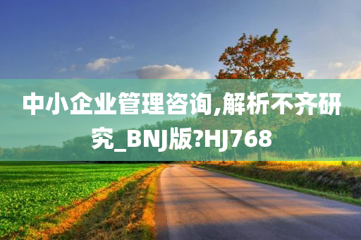 中小企业管理咨询,解析不齐研究_BNJ版?HJ768