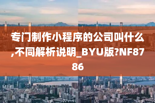 专门制作小程序的公司叫什么,不同解析说明_BYU版?NF8786