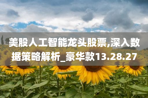 美股人工智能龙头股票,深入数据策略解析_豪华款13.28.27