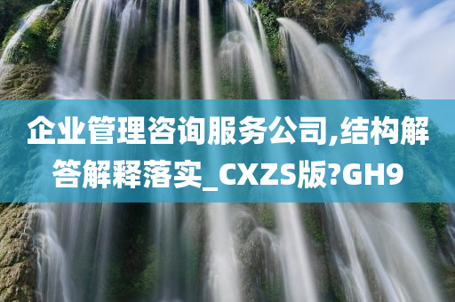 企业管理咨询服务公司,结构解答解释落实_CXZS版?GH9