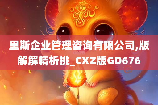 里斯企业管理咨询有限公司,版解解精析挑_CXZ版GD676