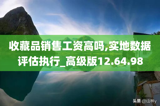 收藏品销售工资高吗,实地数据评估执行_高级版12.64.98