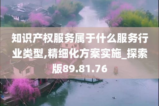 知识产权服务属于什么服务行业类型,精细化方案实施_探索版89.81.76