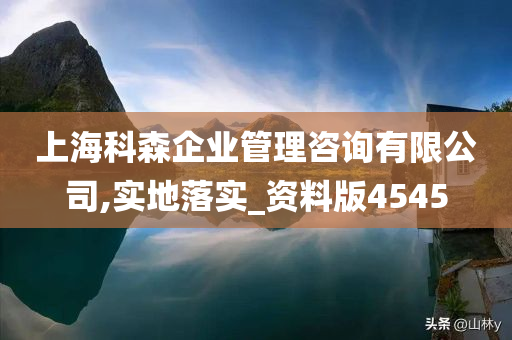 上海科森企业管理咨询有限公司,实地落实_资料版4545