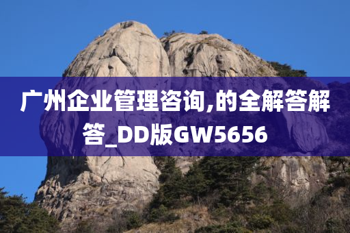 广州企业管理咨询,的全解答解答_DD版GW5656