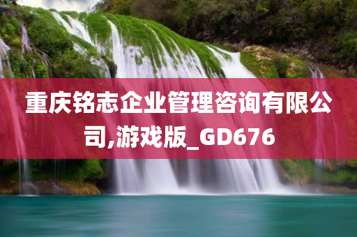 重庆铭志企业管理咨询有限公司,游戏版_GD676