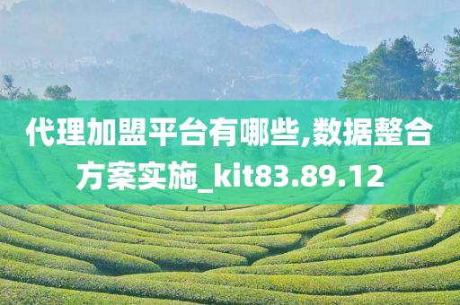 代理加盟平台有哪些,数据整合方案实施_kit83.89.12