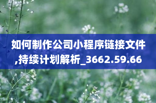 如何制作公司小程序链接文件,持续计划解析_3662.59.66