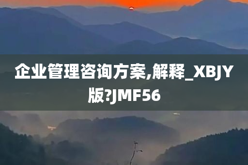 企业管理咨询方案,解释_XBJY版?JMF56