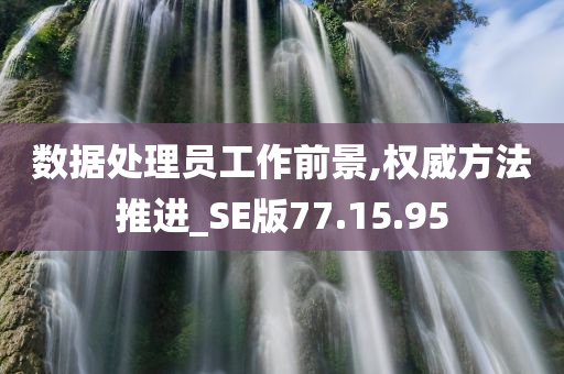 数据处理员工作前景,权威方法推进_SE版77.15.95