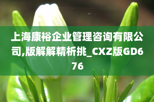 上海康裕企业管理咨询有限公司,版解解精析挑_CXZ版GD676