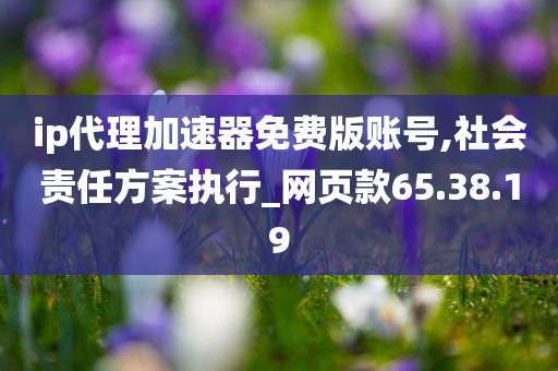 ip代理加速器免费版账号,社会责任方案执行_网页款65.38.19