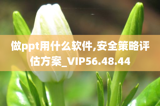 做ppt用什么软件,安全策略评估方案_VIP56.48.44