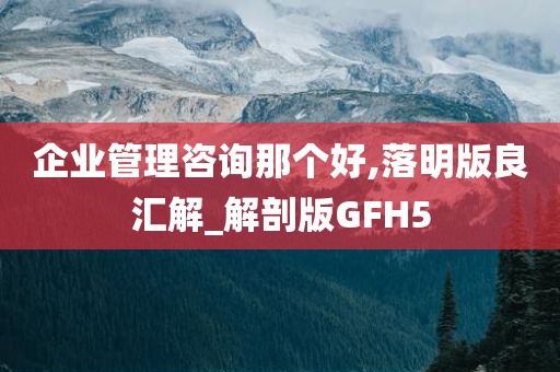 企业管理咨询那个好,落明版良汇解_解剖版GFH5