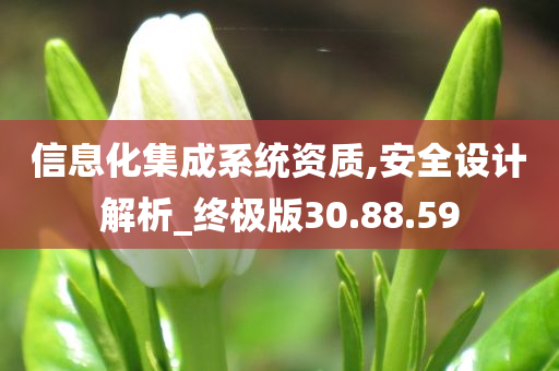 信息化集成系统资质,安全设计解析_终极版30.88.59