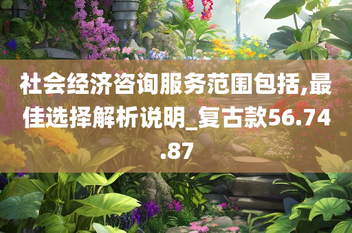 社会经济咨询服务范围包括,最佳选择解析说明_复古款56.74.87