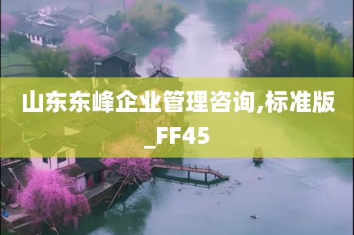 山东东峰企业管理咨询,标准版_FF45