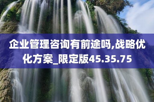 企业管理咨询有前途吗,战略优化方案_限定版45.35.75