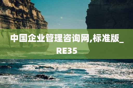 中国企业管理咨询网,标准版_RE35