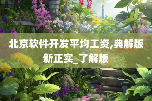 北京软件开发平均工资,典解版新正实_了解版