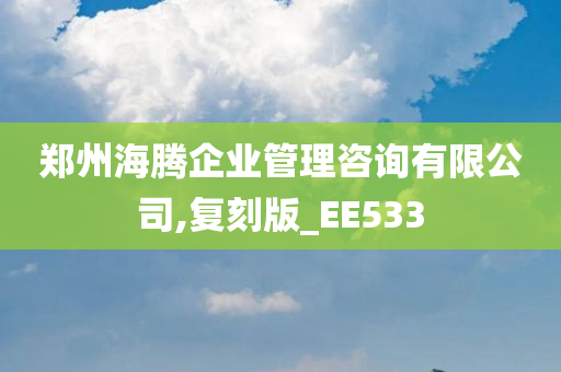 郑州海腾企业管理咨询有限公司,复刻版_EE533