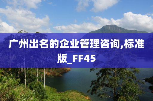 广州出名的企业管理咨询,标准版_FF45