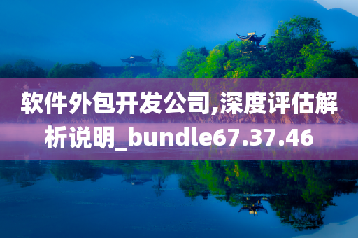 软件外包开发公司,深度评估解析说明_bundle67.37.46