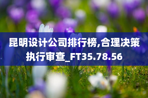 昆明设计公司排行榜,合理决策执行审查_FT35.78.56