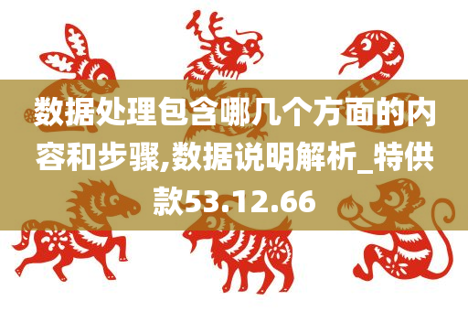 数据处理包含哪几个方面的内容和步骤,数据说明解析_特供款53.12.66