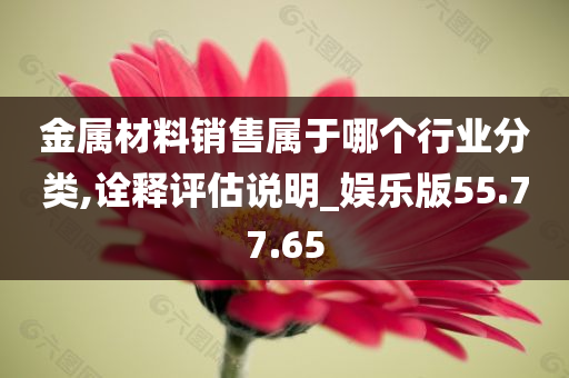 金属材料销售属于哪个行业分类,诠释评估说明_娱乐版55.77.65