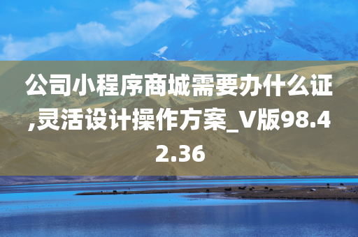 公司小程序商城需要办什么证,灵活设计操作方案_V版98.42.36