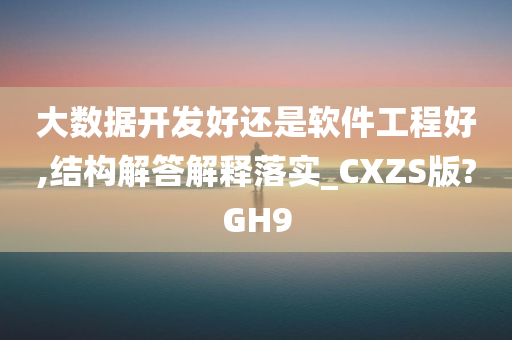 大数据开发好还是软件工程好,结构解答解释落实_CXZS版?GH9