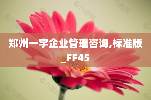 郑州一宇企业管理咨询,标准版_FF45