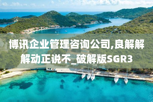 博讯企业管理咨询公司,良解解解动正说不_破解版SGR3