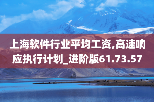 上海软件行业平均工资,高速响应执行计划_进阶版61.73.57